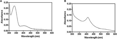 Isolation of a Complex Formed Between Acinetobacter baumannii HemA and HemL, Key Enzymes of Tetrapyrroles Biosynthesis